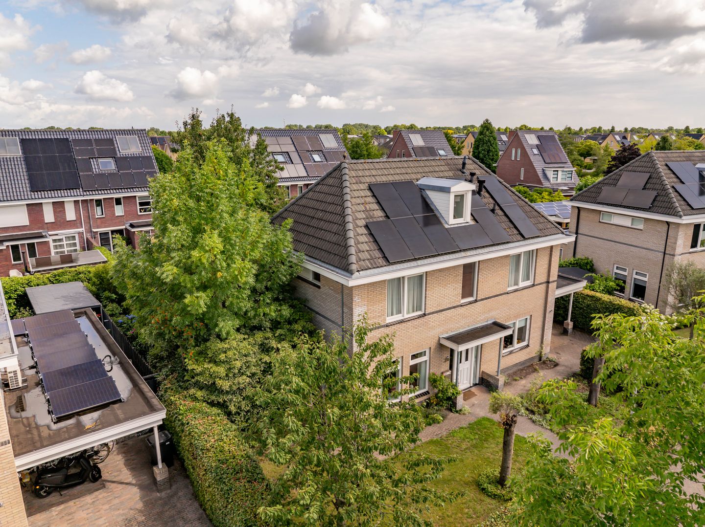 Photo 65 of Meerval 24