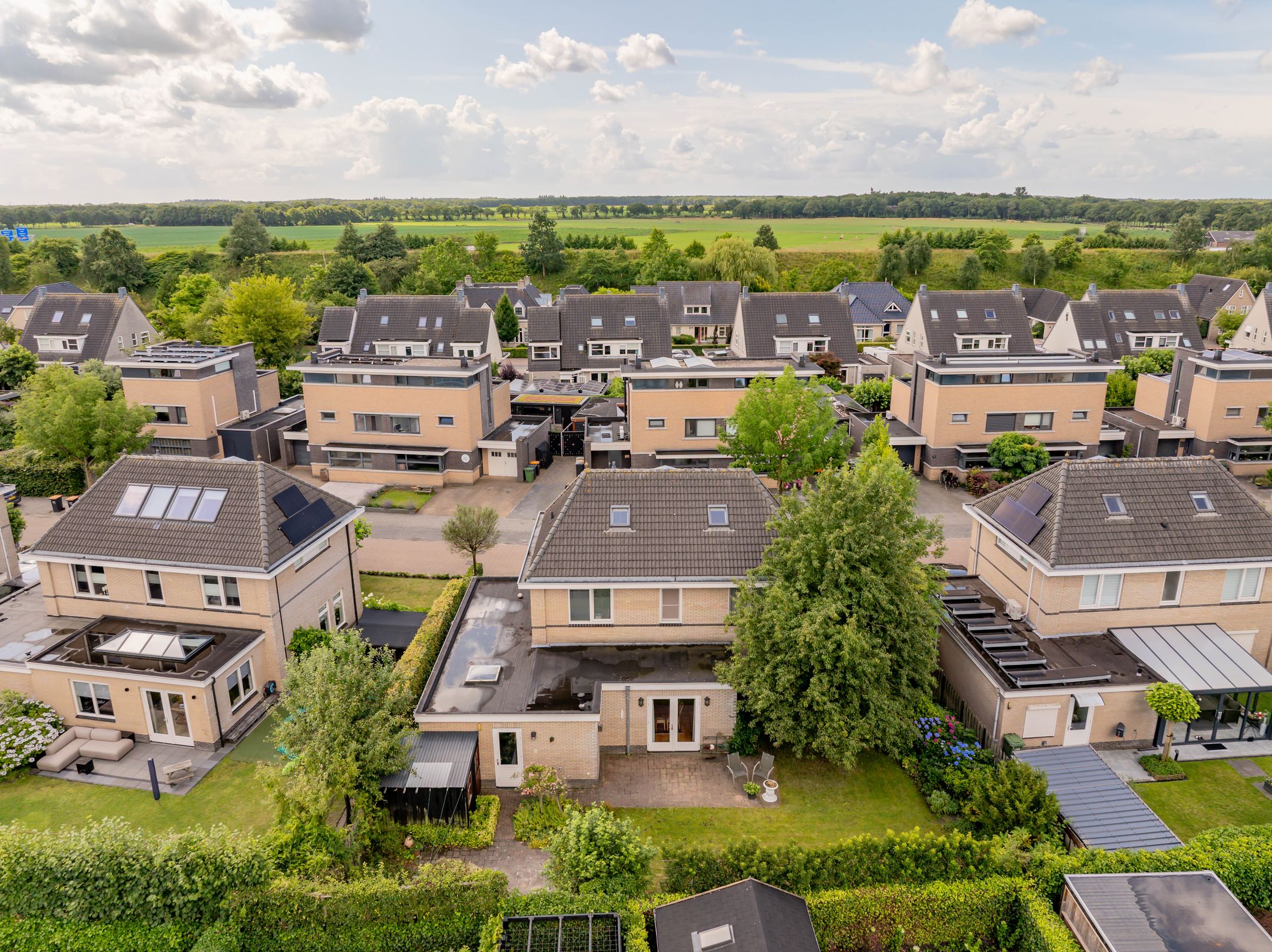 Photo 66 of Meerval 24