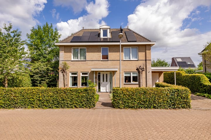 Foto 67 van Meerval 24