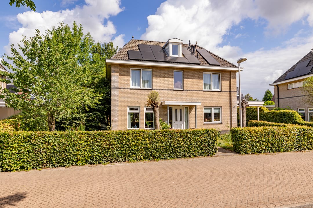 Photo 68 of Meerval 24