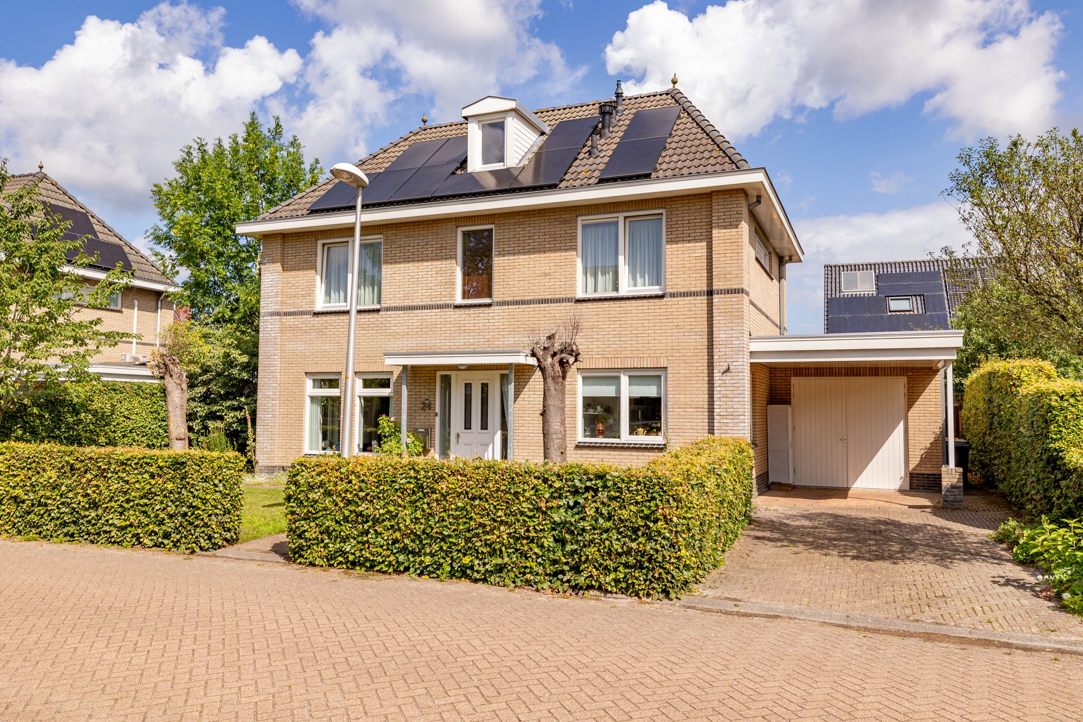 Photo 69 of Meerval 24