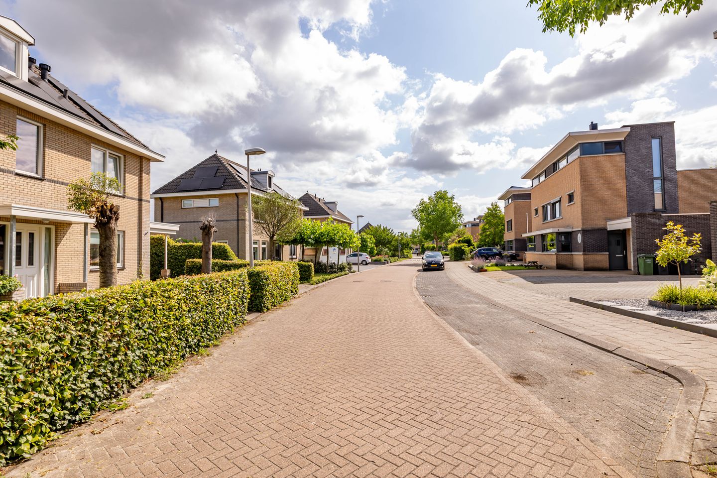 Photo 70 of Meerval 24