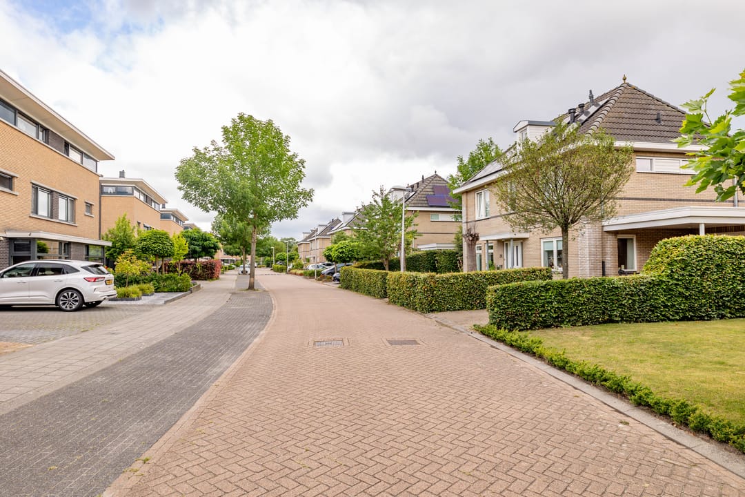 Photo 71 of Meerval 24