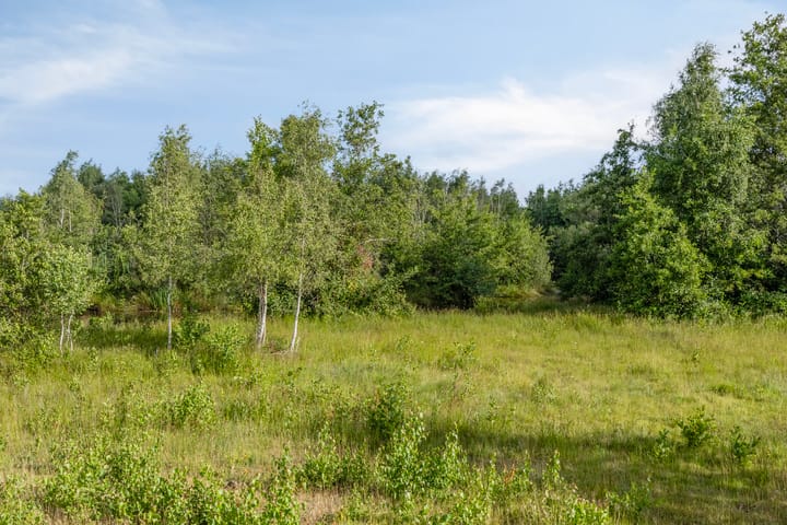 Foto 49 van Oijensingel 23