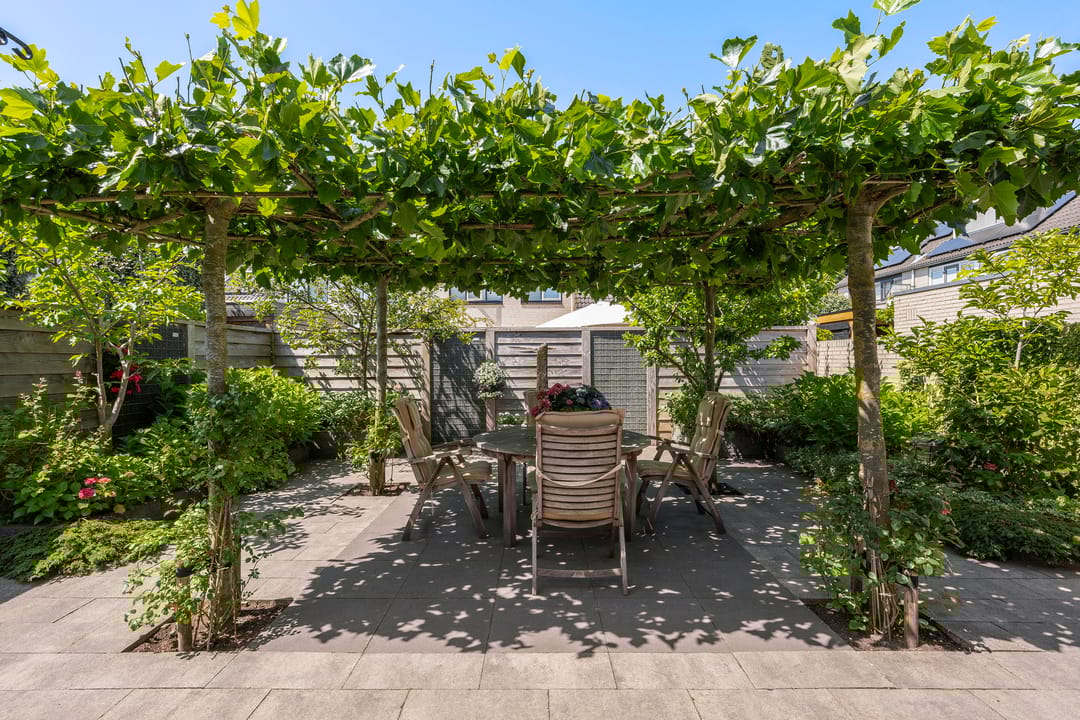 Foto 11 van Meerkoet 118