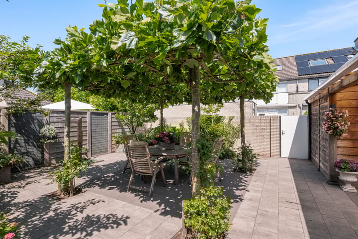 Foto 12 van Meerkoet 118