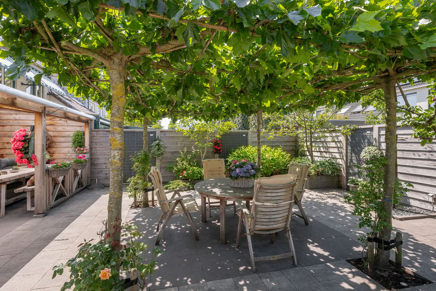 Foto 14 van Meerkoet 118