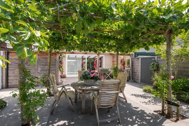 Foto 15 van Meerkoet 118