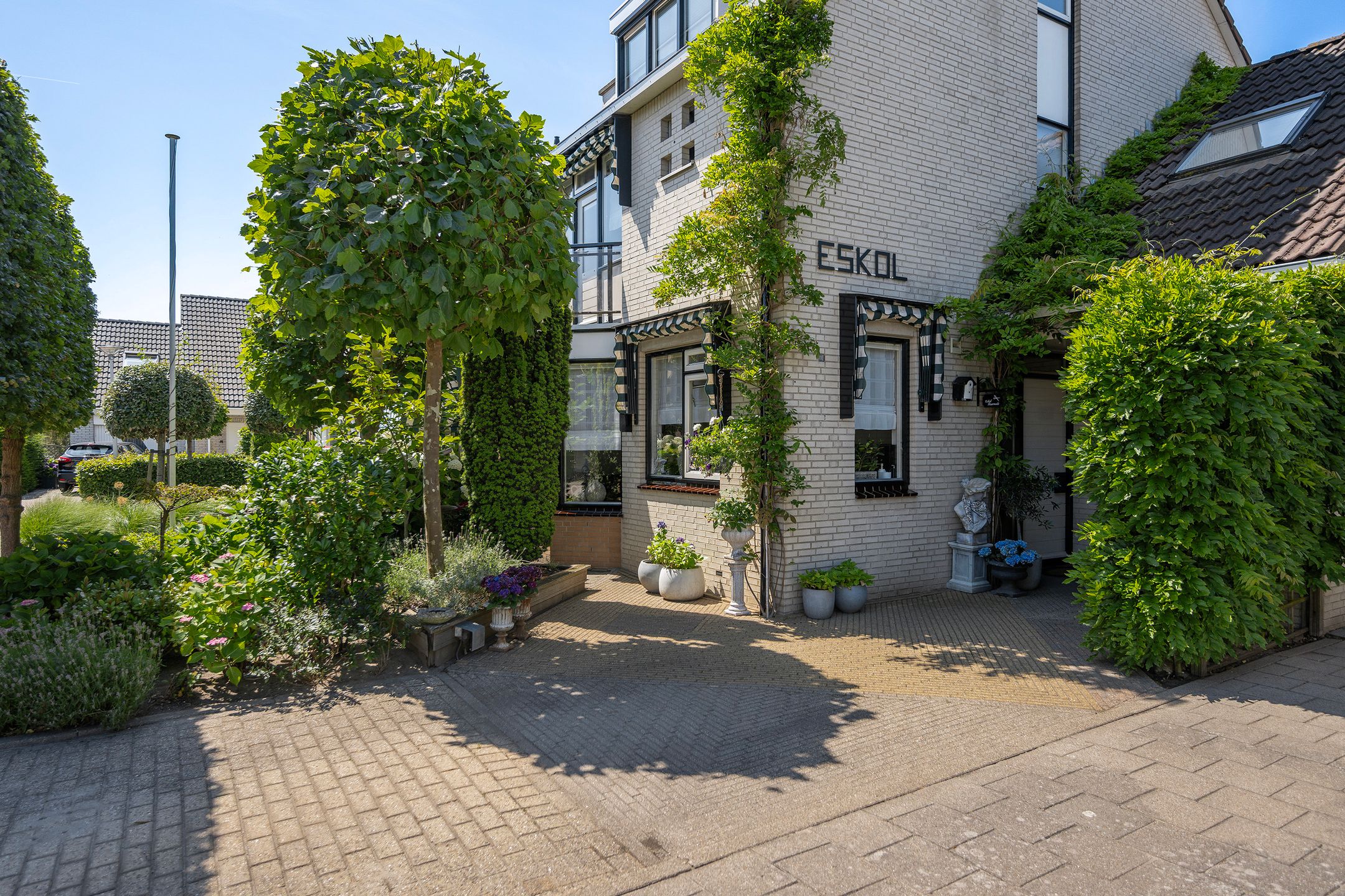 Foto 39 van Meerkoet 118