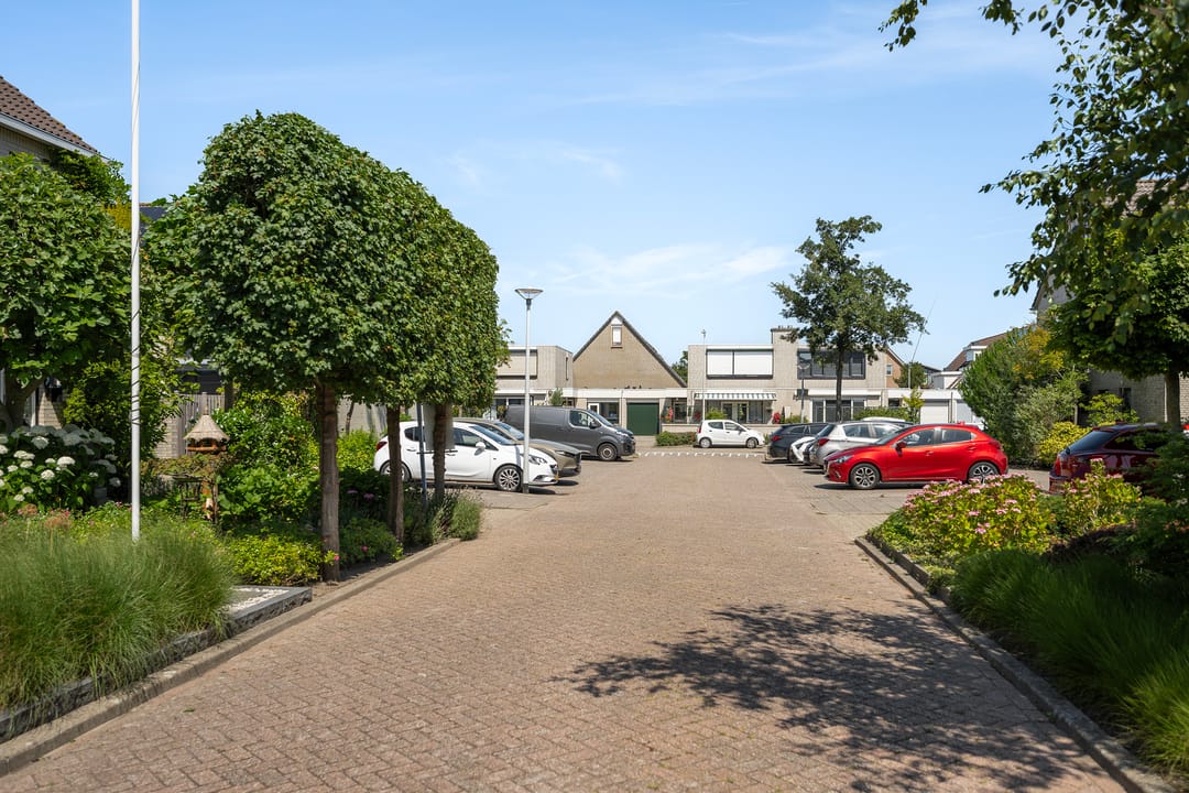 Foto 41 van Meerkoet 118