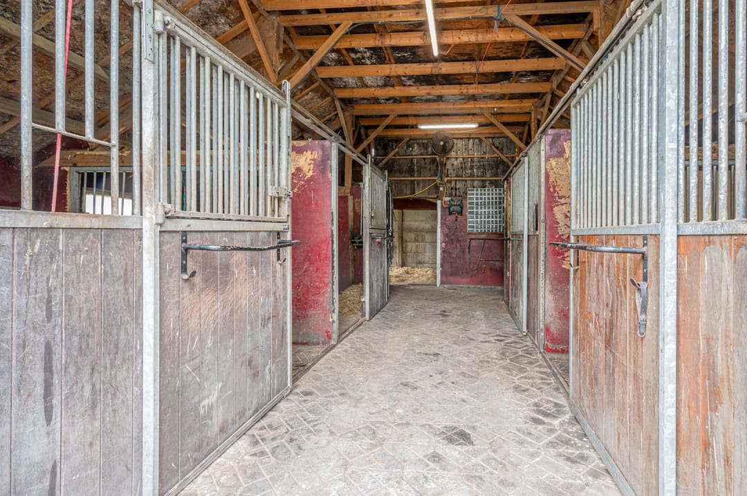 Photo 38 of Noorderstraat 20