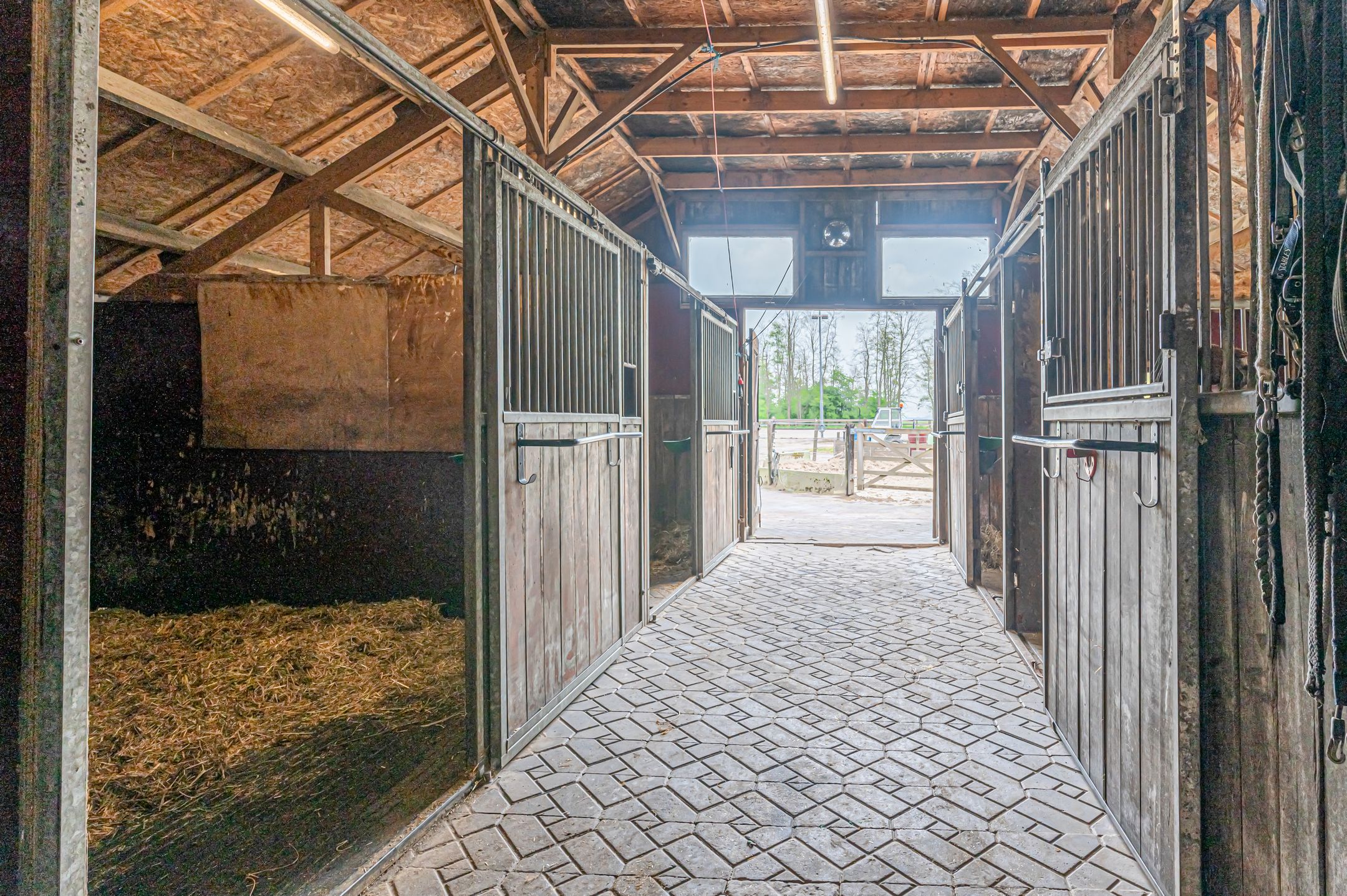 Photo 39 of Noorderstraat 20