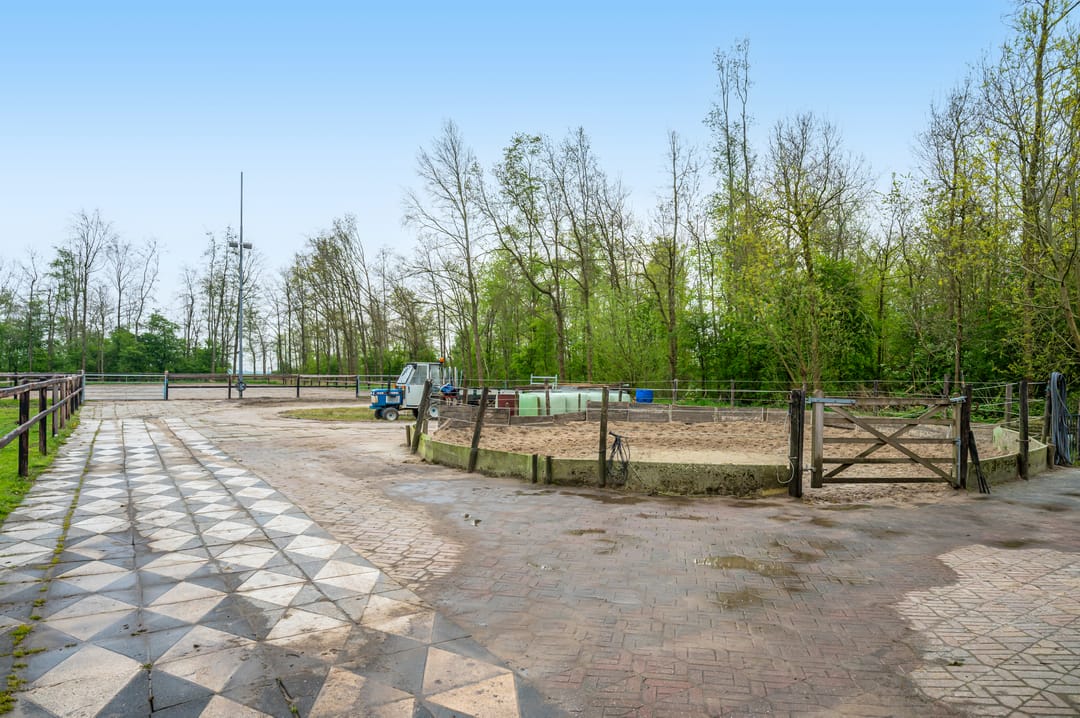 Photo 43 of Noorderstraat 20