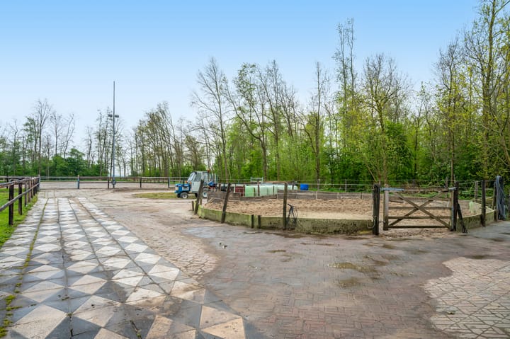 Foto 43 van Noorderstraat 20