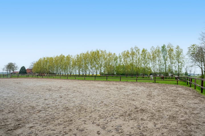 Foto 46 van Noorderstraat 20