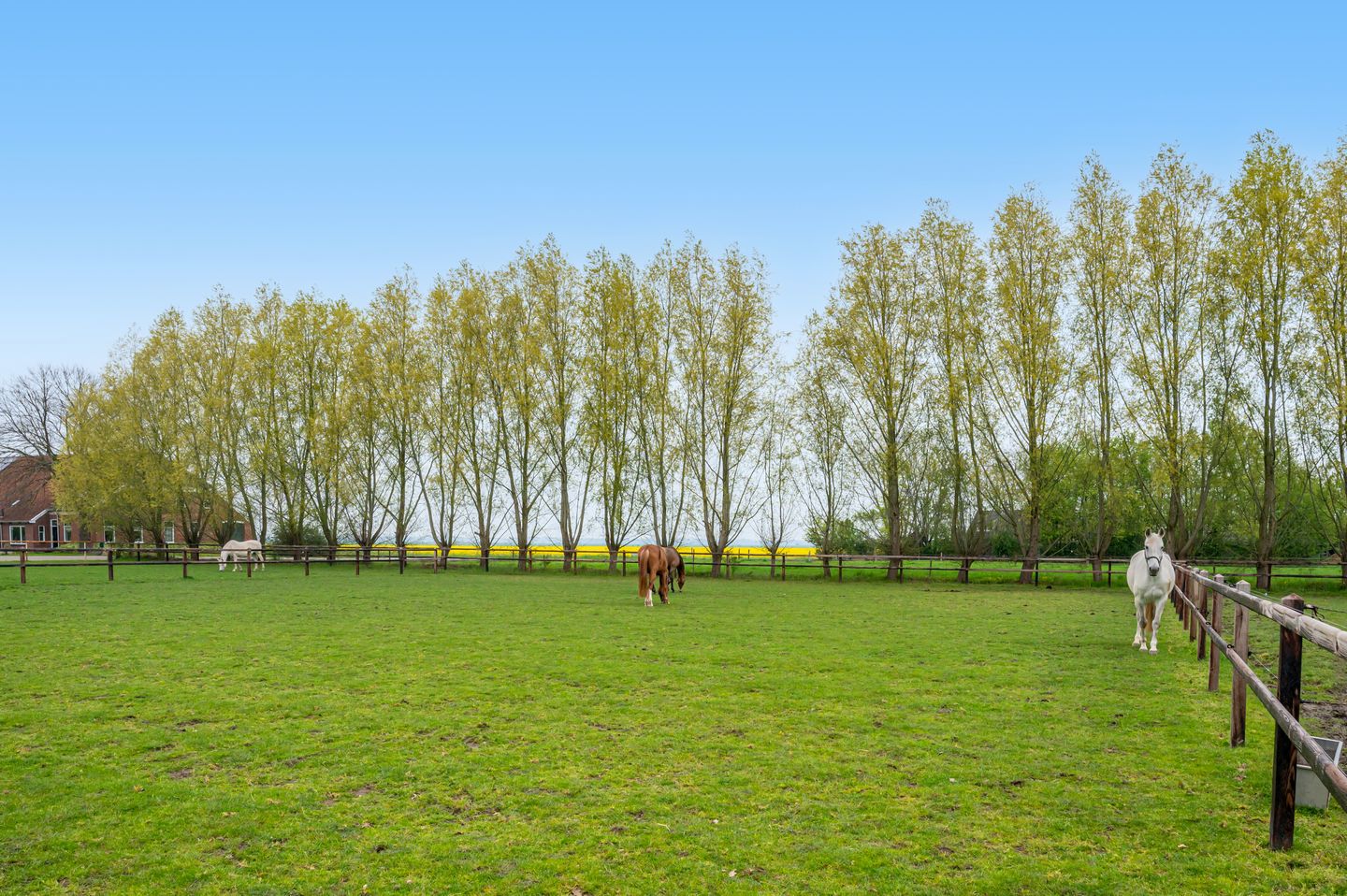 Photo 49 of Noorderstraat 20