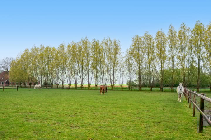 Foto 49 van Noorderstraat 20