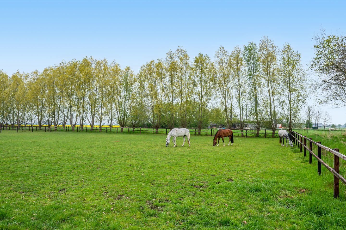 Photo 50 of Noorderstraat 20