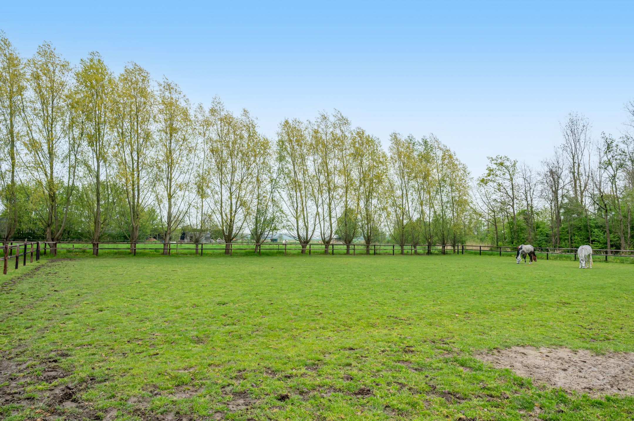 Photo 51 of Noorderstraat 20