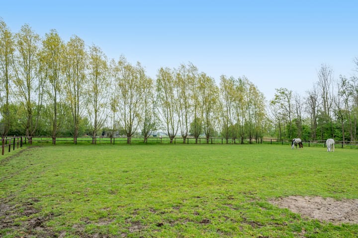 Foto 51 van Noorderstraat 20