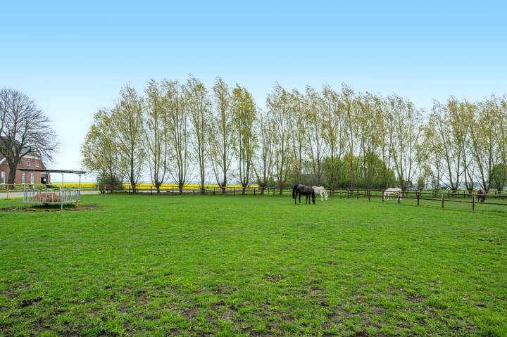 Foto 52 van Noorderstraat 20