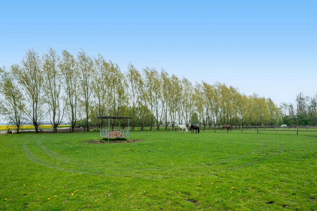 Photo 53 of Noorderstraat 20