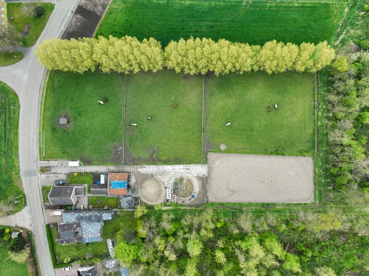 Foto 59 van Noorderstraat 20