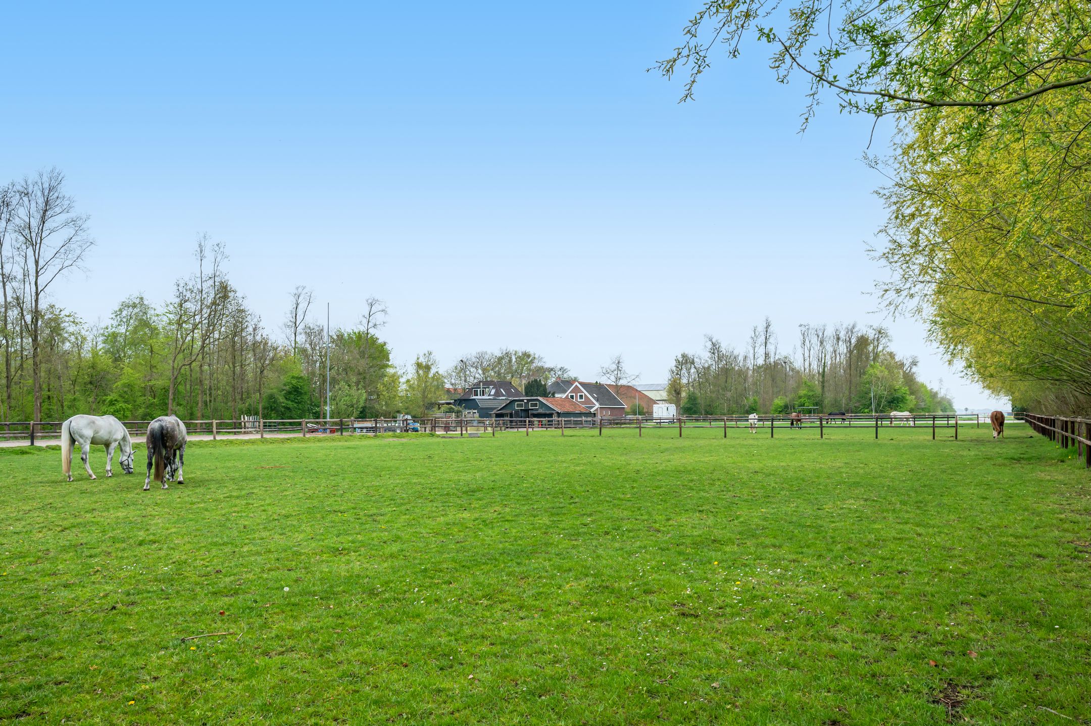 Photo 54 of Noorderstraat 20