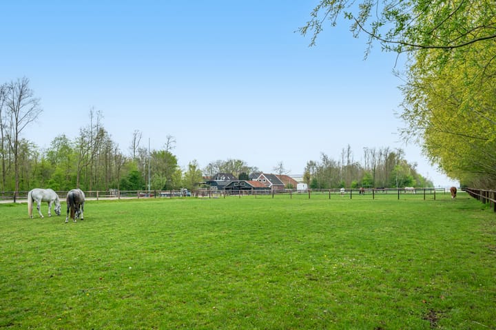 Foto 54 van Noorderstraat 20