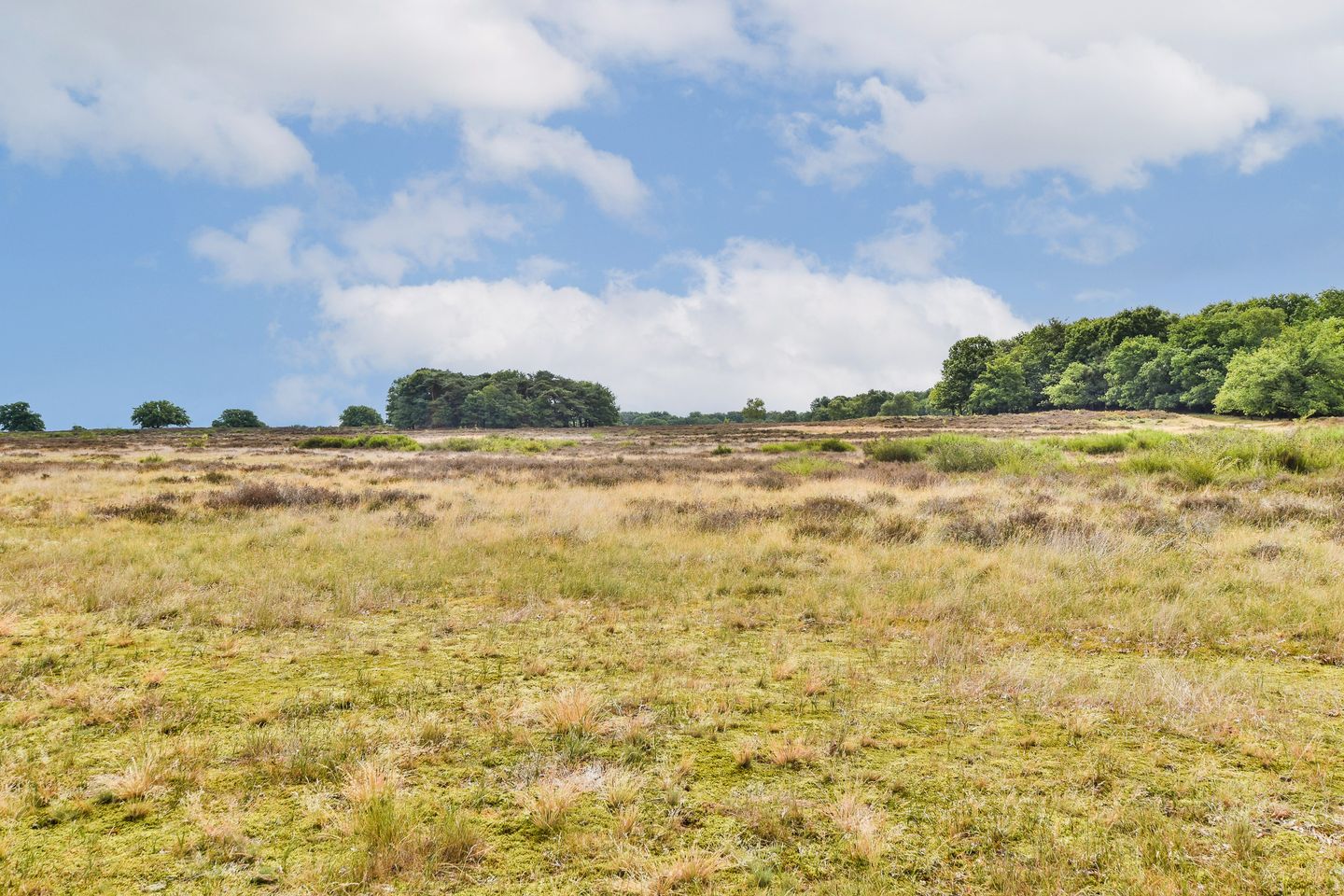 Foto 40 van Baanbergenweg 40