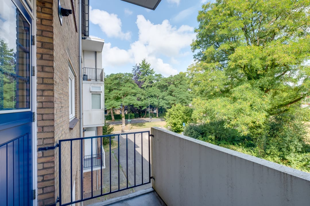 Foto 16 van Mezenlaan 57