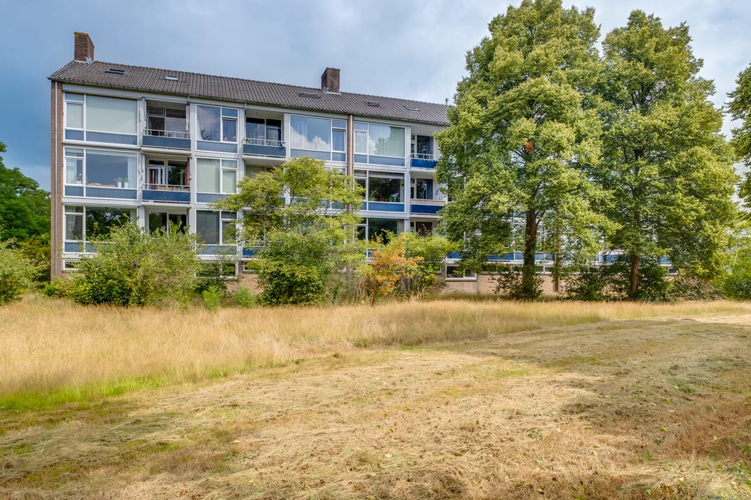 Foto 2 van Mezenlaan 57