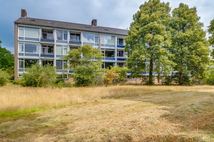 Foto 2 van Mezenlaan 57