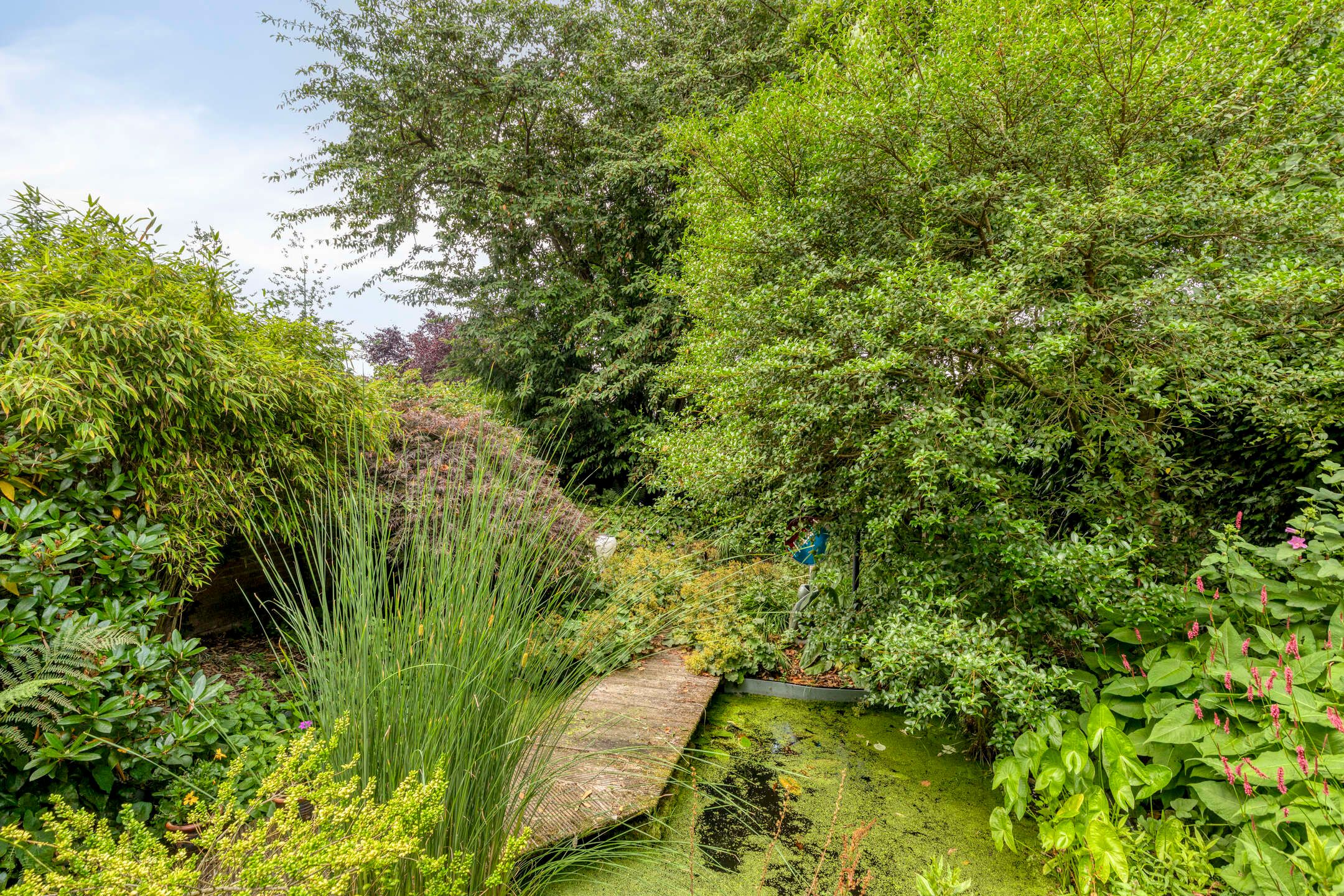 Foto 27 van Andoorn 35