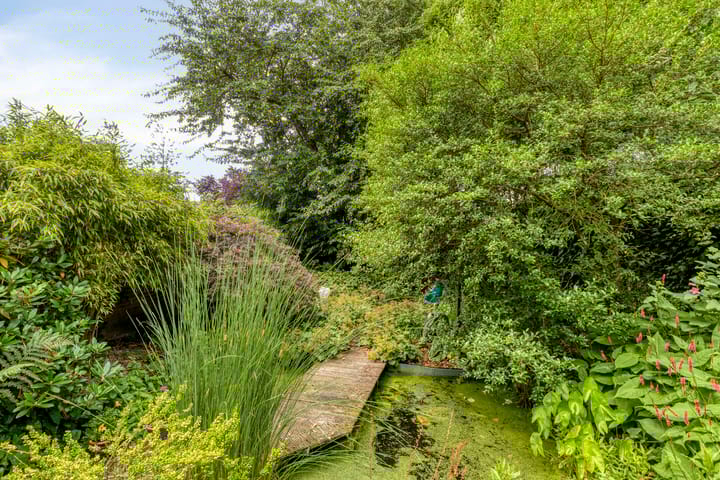 Foto 27 van Andoorn 35