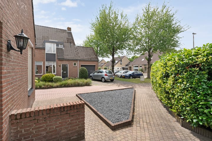 Foto 6 van Evert Reddersland 21