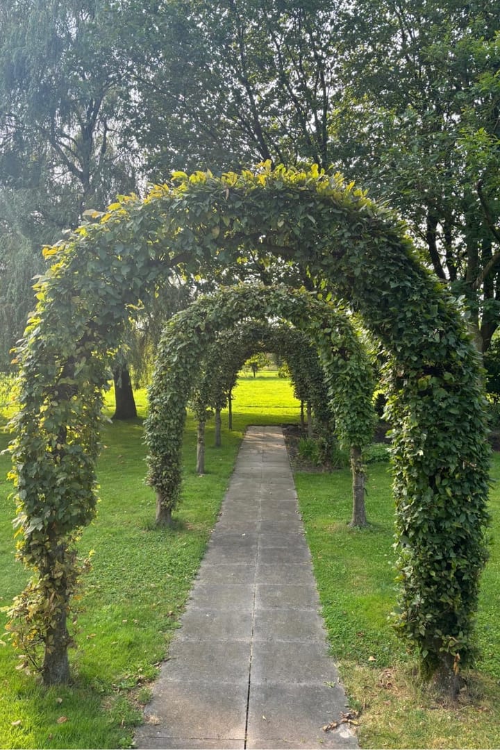 Photo 28 of Oude Liesboslaan 265