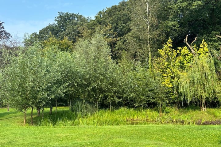 Photo 31 of Oude Liesboslaan 265