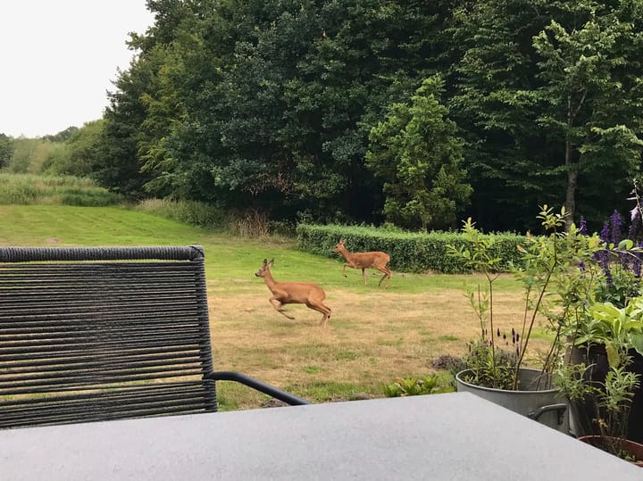 Foto 42 van Ekris 72-B