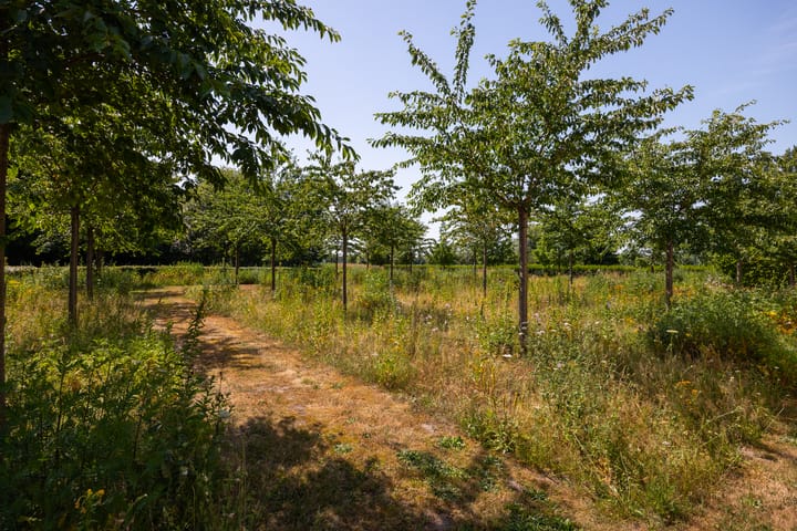 Foto 46 van Ekris 72-B