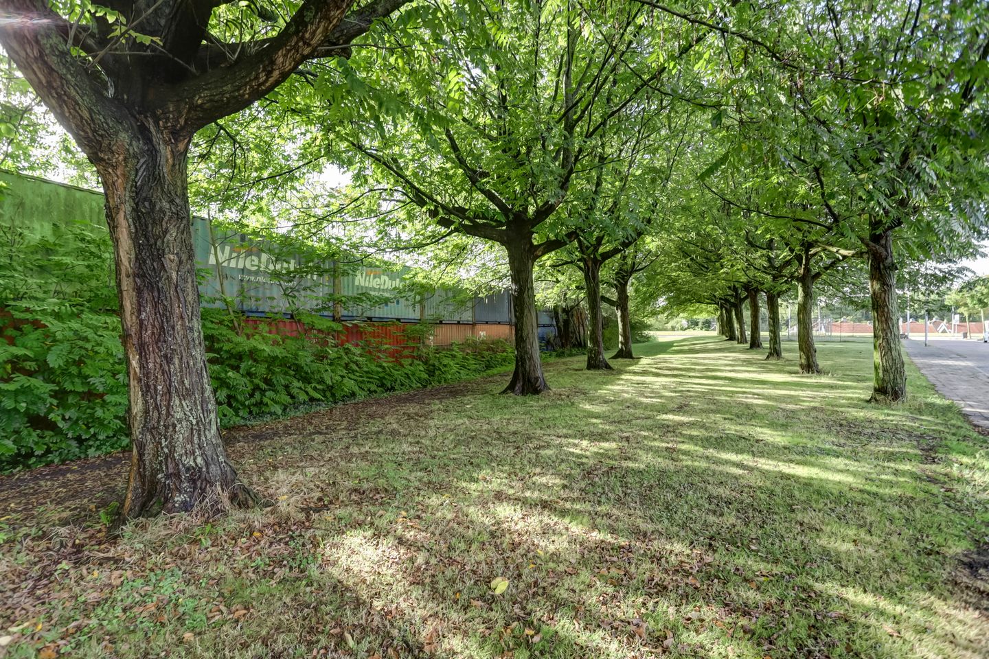 Foto 25 van Finnjolstraat 22