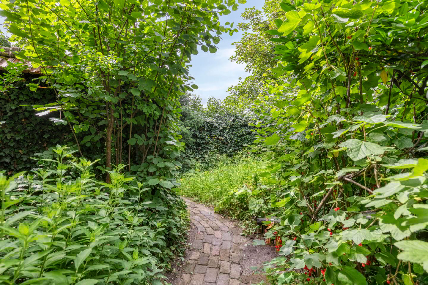 Foto 5 van Trompstraat 7-A