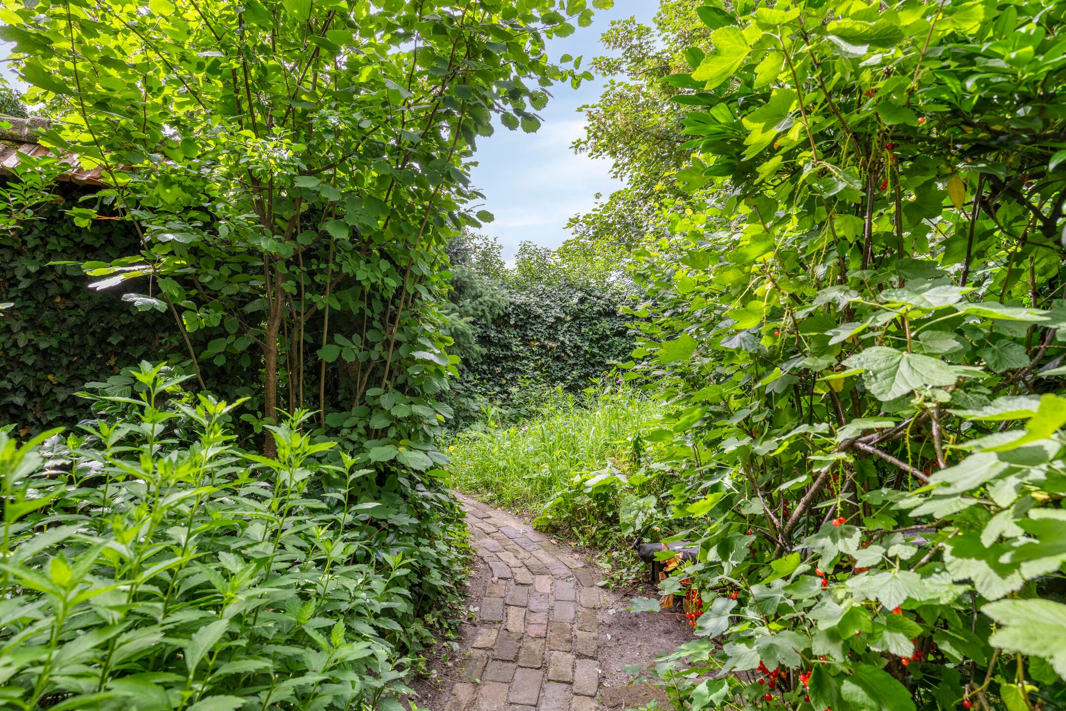 Foto 39 van Trompstraat 7-A