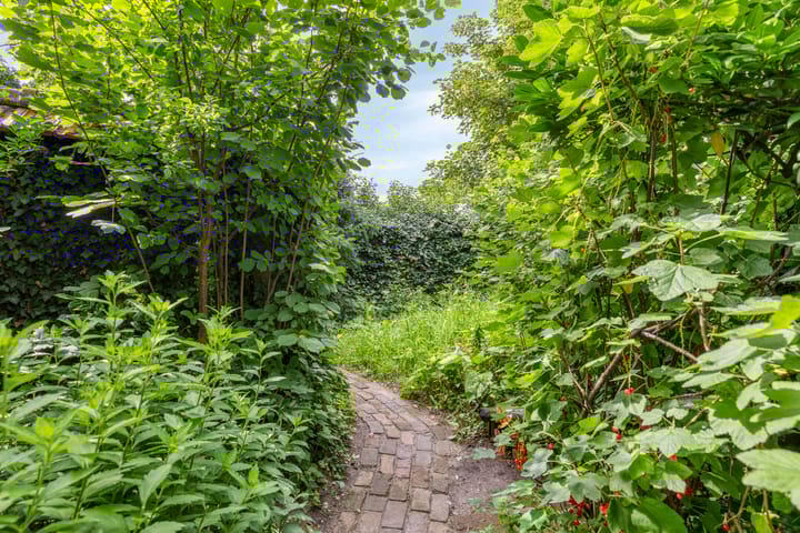 Foto 39 van Trompstraat 7-A