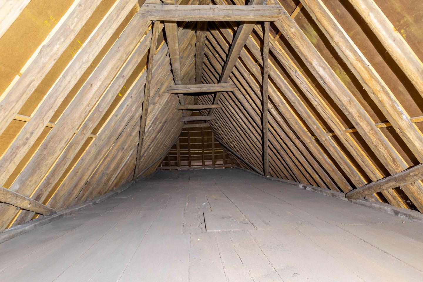 Foto 14 van Nieuwland 24