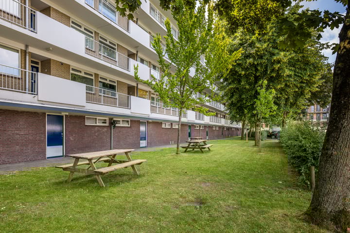 Foto 24 van Ravellaan 157