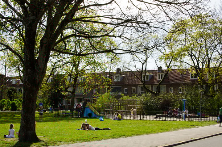 Foto 31 van Ravellaan 157