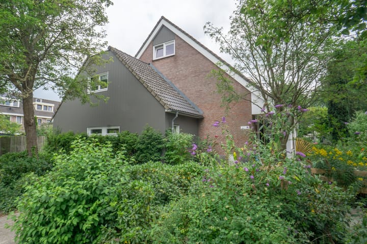 Foto 43 van Hondsdraf 51