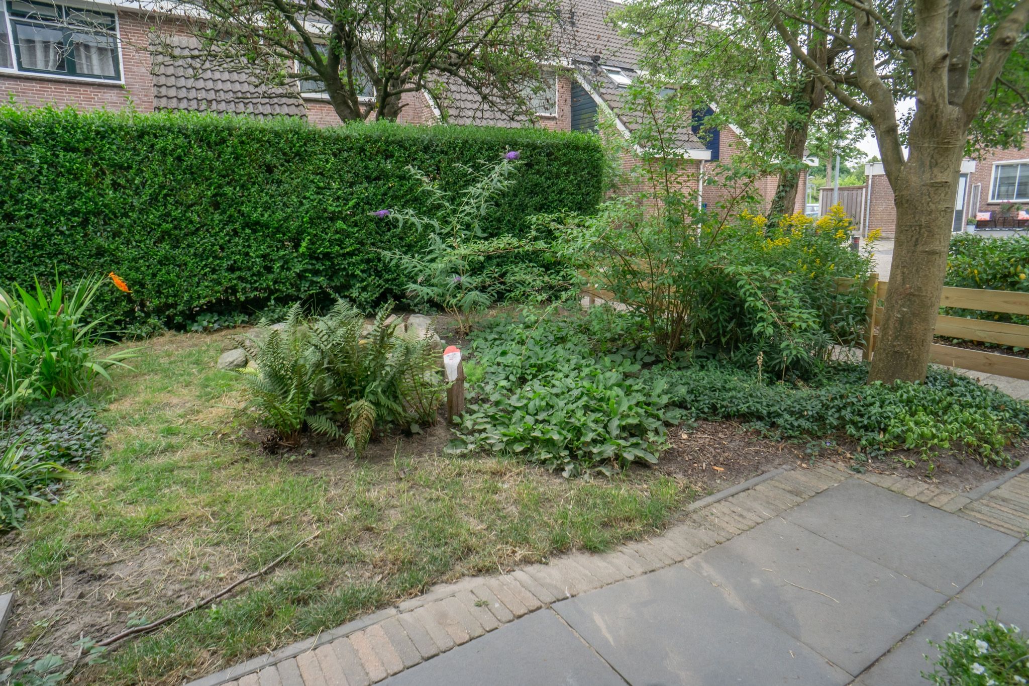 Foto 45 van Hondsdraf 51