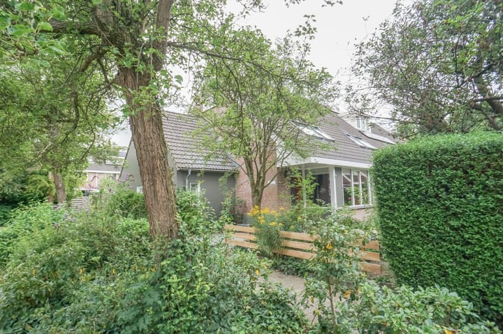 Foto 47 van Hondsdraf 51